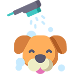 dog wash