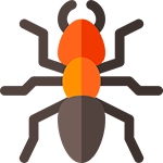 termite pest control