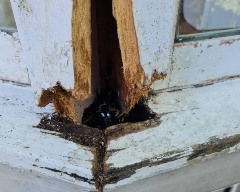 20220209 100149 20220209 100149