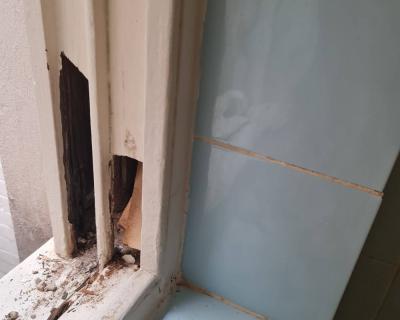 20220314 115155 20220314 115155