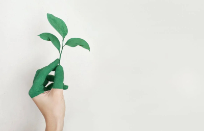 The benefits of using eco-friendly paints for your house painting